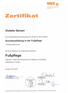 ZERTIFIKAT VIO 001